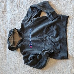 {Champion} hoodie